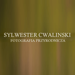 Sylwester Cwalinski - Fotografia przyrodnicza
