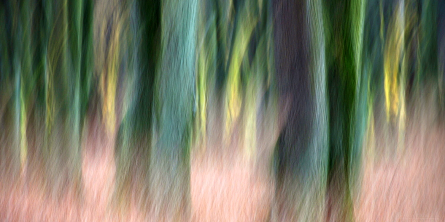 Fotografia artystyczna