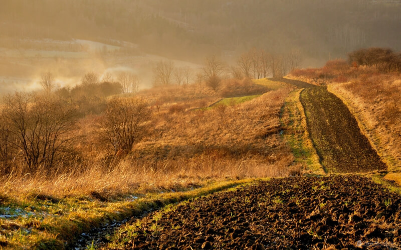 II miejsce w konkursie fotograficznym „Beskidzkie Foto Miesiąca”